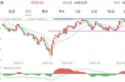 深天马Ａ：月日接受机构调研，中欧瑞博交银施罗德基金等多家机构参与