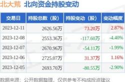 岩山科技获北向资金卖出万元，累计持股万股