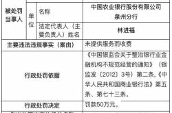 中国农业银行违法案例警示教育图册