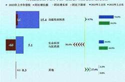 业务发展与市场环境