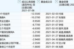 一、2024年上半年基金表现回顾