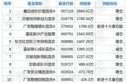 巨星科技股票分析与投资建议