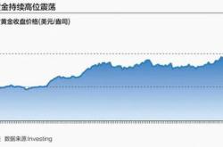 深入解析山东黄金价格，从历史到现实的全方位解读