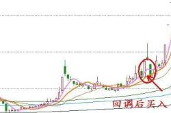 深入解析股票002181——粤传媒的投资潜力与风险