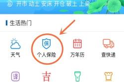 轻松掌握个人保险查询，守护您和家人的金融安全