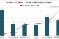 深入解析600107股票，投资机会与风险