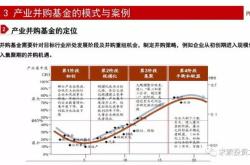 深入解析吉林化纤股票，投资前景与风险分析