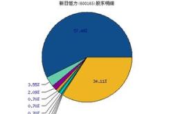 深度解析600165新日恒力，从基础到未来的发展潜力