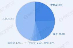 投资价值分析与未来展望