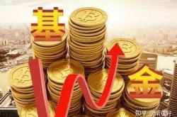 新手买哪支基金