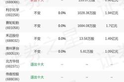 南方绩优基金持仓明细