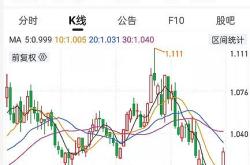 猪肉板块基金还加仓吗