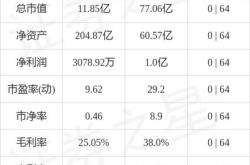 振华B股主力资金净卖出分析市场动态与投资策略