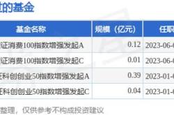 安信永利信用a基金经理变动:增聘黄琬舒为基金经理|债券|证券投资|机