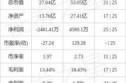 盛通股份遭遇主力资金净卖出市场动态与投资策略分析