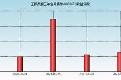 工银瑞兴一年定开纯债债券发起式基金稳健增长的新星