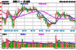 汇安基金吴尚伟展望市场震荡上行，大盘风格或持续引领趋势