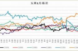 小苞米的未来涨势能否持续？

演讲