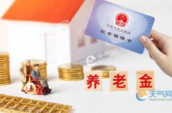 上海养老金和养老保险的区别