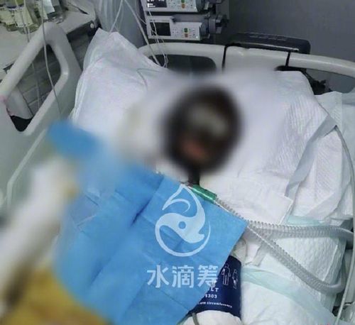 关于一名年轻女网红在前夫家楼下喝药身亡的悲剧事件的文章