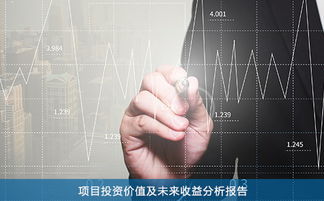 深入解析300100——探讨其投资价值与风险评估