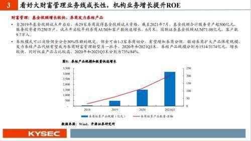 同方股份（600100），投资分析与策略建议