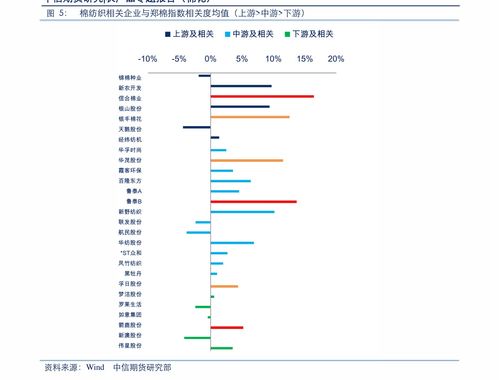 中体产业股票投资分析与策略