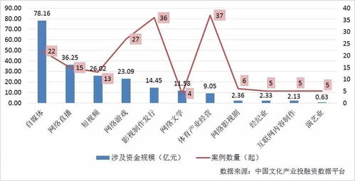 中国武夷股票投资分析报告