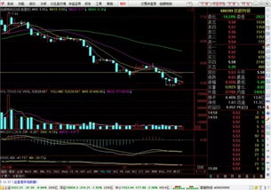 股票分析报告，600884 —— 杉杉股份