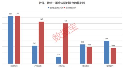 社保概念股，理解其定义、影响及投资策略