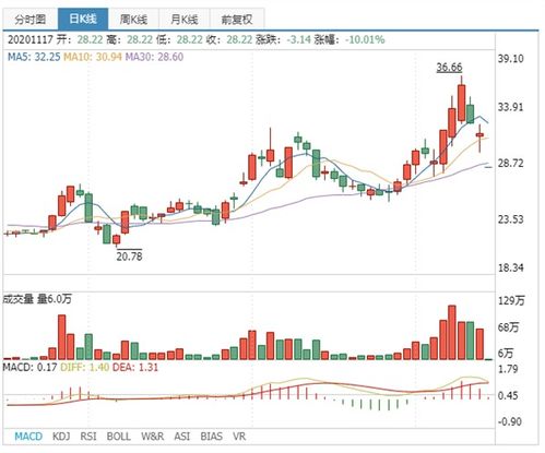 神州数码股份有限公司的投资价值分析与理财策略