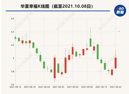 中国平安保险股份有限公司，稳健的投资选择与策略分析