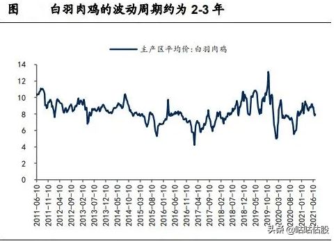 圣农发展股票，投资分析与策略建议