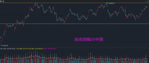 新湖中宝股票分析与投资策略