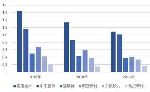 蓝田股份公司，深入解析与投资前景分析