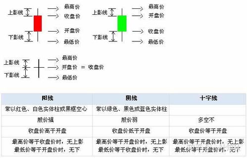 股票投资入门，必备名词解释