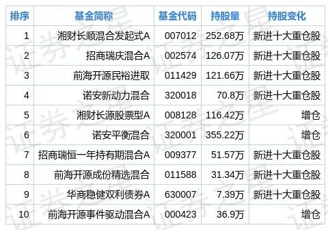 东华能源股票投资分析与展望