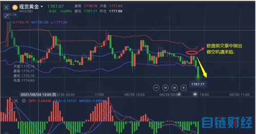 黄金实时行情分析与投资策略