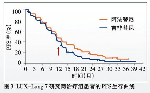 投资策略、历史表现与未来展望