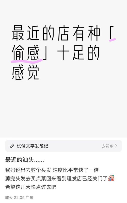 汕头辟谣，商户并非为躲检查而关门