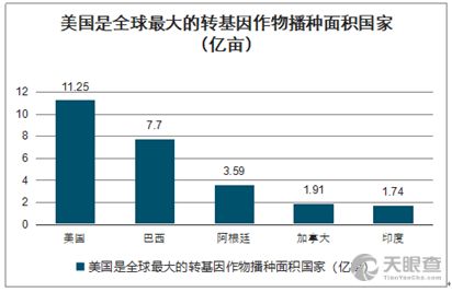 市场表现与投资前景分析