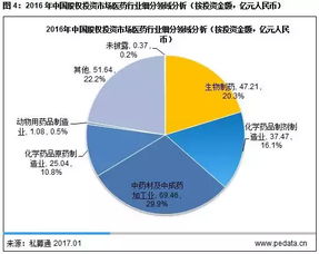 深入解析与投资策略