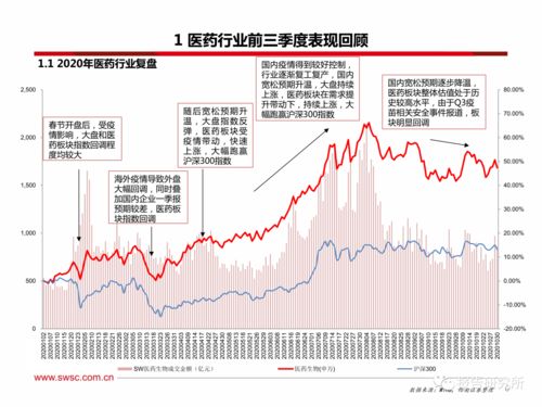 深入解析与投资策略