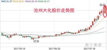 沧州大化股票，化工行业中的璀璨明珠