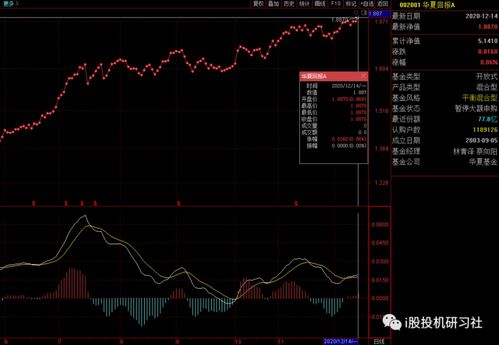 深入解析景顺精选蓝筹基金，投资策略、业绩表现与未来展望