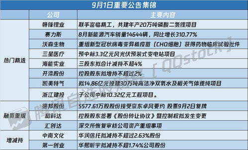 赣锋锂业002460，掌握未来能源的锂想之选