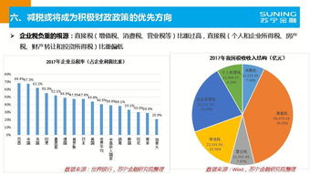 投资分析与未来展望