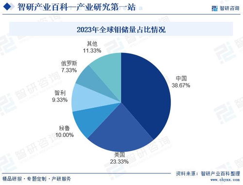 投资分析与未来展望