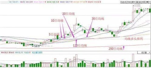 掌握股市行情查询的技巧，轻松投资不迷路