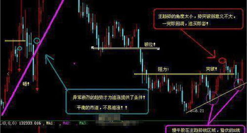 掌握股市行情查询的技巧，轻松投资不迷路